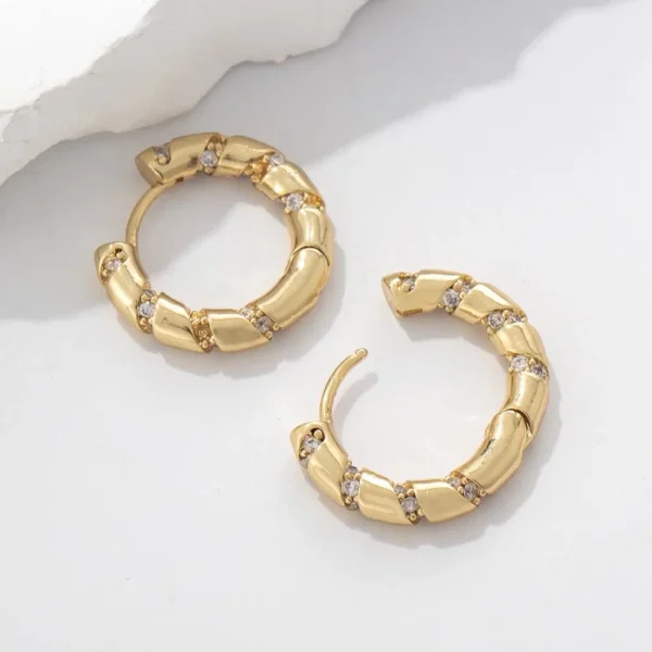 Earring Stainless Steel