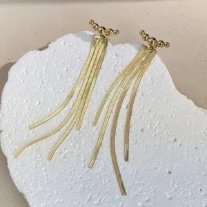 Earrings Stainless Steel
